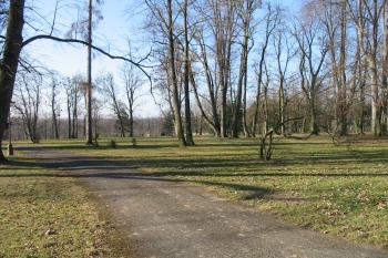 jižní zámecký park (© D Dohňanský, 03/2015)