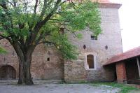 Bošovice