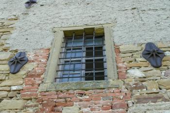 Tvrz Bošovice (© Dita Kacerovská, 07/2009)