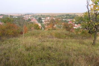 Pohled na tvrziště od jihu ( © Roman Řezáč 10/2004)