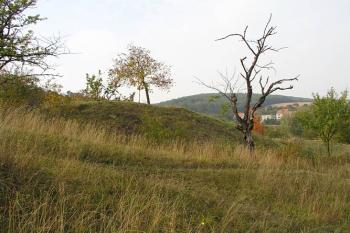 Pohled od východu ( © Roman Řezáč 10/2004)