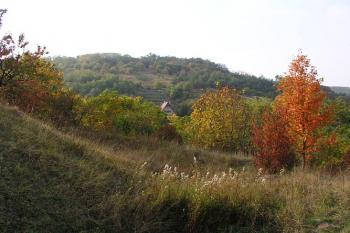 Pohled z příkopu asi na 0.5 km vzdálený ostroh s hrádkem v poloze Valy ( © Roman Řezáč 10/2004)