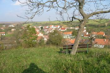 Odpočinková lavička na jádru tvrze (© D Dohňanský, 10/2014)
