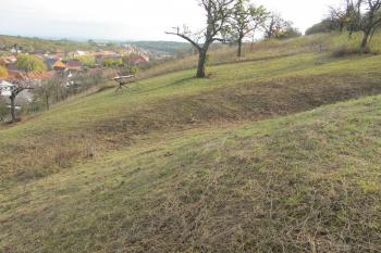 jv.příkop ( © Dušan Dohňanský 11/2019)
