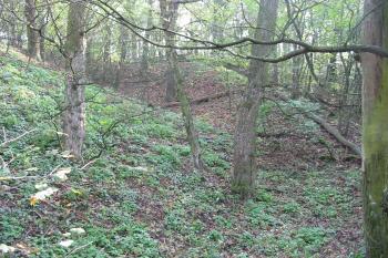 val s příkopem na sv.straně (© D Dohňanský, 10/2014)