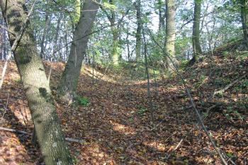 příkop a val na severu (© D Dohňanský, 10/2014)
