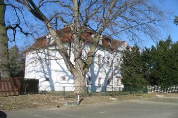jv.nároží zámku (© D Dohňanský, 03/2015)