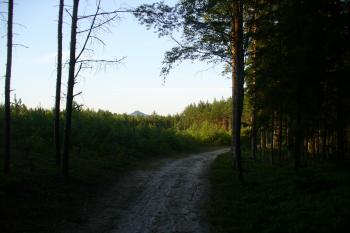 Ralsko od Hradčanských stěn (© Pavel Jarý, 26.07.2009)