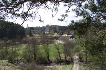  (© Michal Brůža, 04/2011)