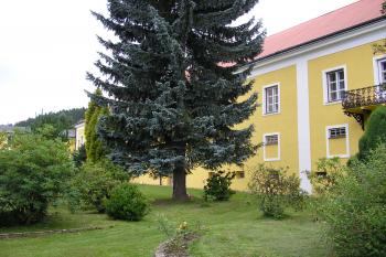 Zámek Jimramov (© Tomáš Hák, 08/2008)