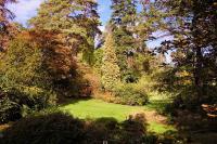 arboretum
