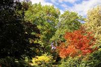 arboretum