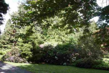 Arboretum (© Lenka Martinková 06/2006)