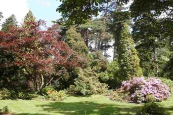 Arboretum (© Lenka Martinková 06/2006)