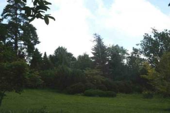 Arboretum (© Lenka Martinková 06/2006)