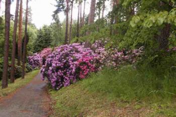 Arboretum (© Lenka Martinková 06/2006)