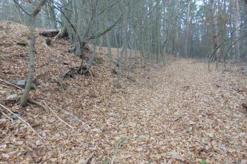 Setřelý východní příkop /od jihu/ (© Dušan Dohňanský 12/2020)