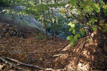 Příkop přepažující úzký hřebínek ( © Iva Spurná 26.9.2009)