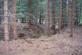Zaoblení příkopu na západní straně ( © Roman Řezáč 11/2004)