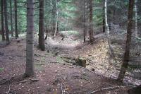 Rudka