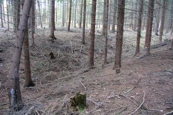 Příkop na severozápadě, pohled z jádra ( © Roman Řezáč 11/2004)