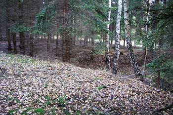 Příkop na východě, pohled z jádra ( © Roman Řezáč 11/2004)