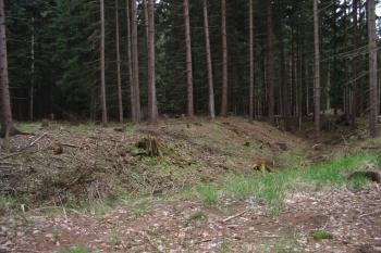 Jihozápadní okružní příkop (© D Dohňanský, 04/2016)