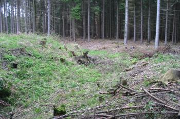 příkop na východní straně (© D Dohňanský, 04/2016)
