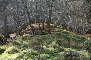 Opevnění z 15. stol ( © Petr Nožička 11/2010)