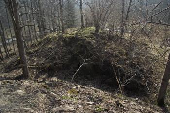  (© Michal Brůža, 03/2012)