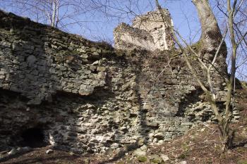  (© Michal Brůža, 03/2012)