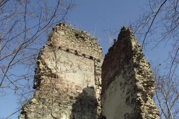  (© Michal Brůža, 03/2012)