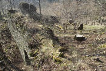  (© Michal Brůža, 03/2012)