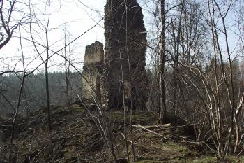  (© Michal Brůža, 03/2012)