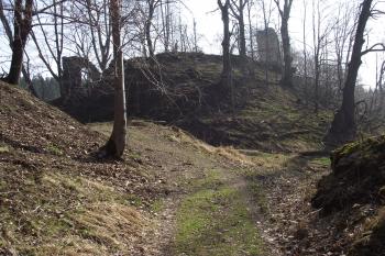  (© Michal Brůža, 03/2012)