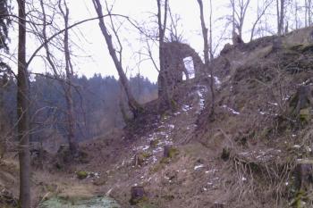 Přístupová cesta, příkop podmáčený (© Jan Večeřa, 02/2015)