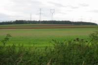 Lipňany
