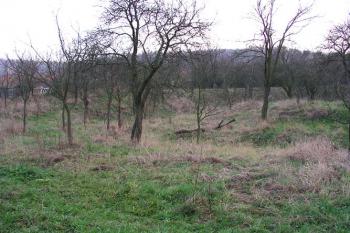 Severní zaoblení s patrným příkopem. ( © Roman Řezáč 11/2004)