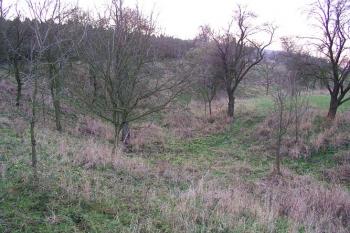 Východní část tvrziště ( © Roman Řezáč 11/2004)
