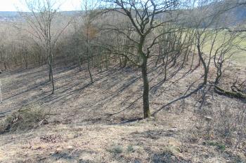 Pohled z hradu přes jižní rozsedlinu /příkop/ na stoupající přístupový hřbet (© Dušan Dohňanský  03/2022)