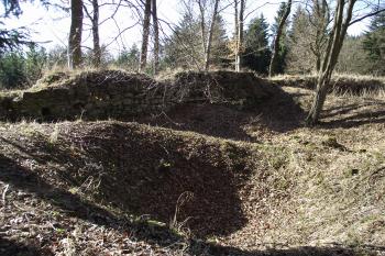  (© Michal Brůža, 03/2012)