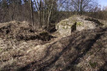  (© Michal Brůža, 03/2012)