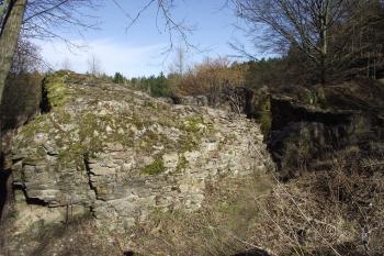 (© Michal Brůža, 03/2012)