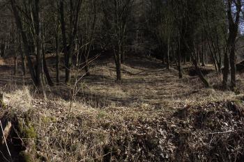  (© Michal Brůža, 03/2012)