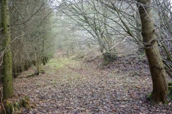 Původní přístupová cesta k hradní bráně v zadní části areálu hradu, cestu protínající valy a příkopy považuji za novodobou (© Jan Večeřa, 12/2015)