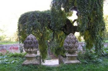 bazének za zámkem (© Daniela Fantová, 10/2007)