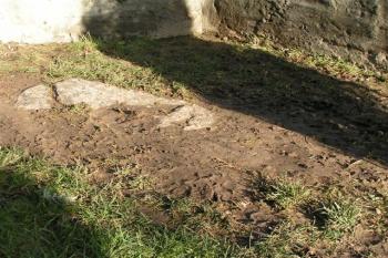 V zahradě ( © Petr Turyna 11/2004)