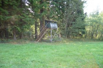 Obora pod hradem (© Jaroslav Šefčík, 03/2009)