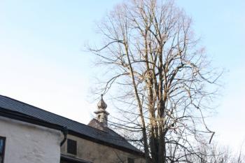 Kaple z předhradí ( © Ivan Grisa 12/2009)