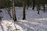 Opatovice